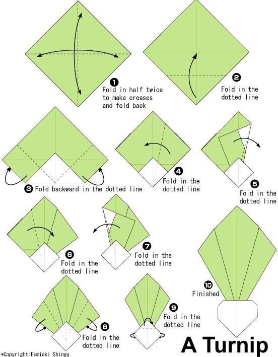 手工折纸芜菁的基本折法图解较长展示出折纸芜菁是如何制作的