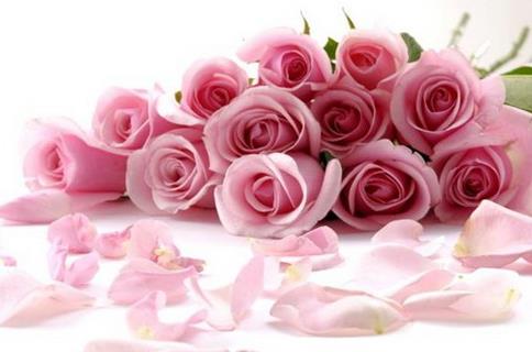 读徐渭画作品17朵玫瑰花语里的绝望无可挽回的爱