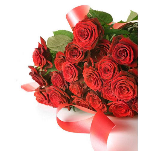 如果生日那天你收到21朵玫瑰请记住我放在21朵玫瑰花语里的真诚的爱（一）
