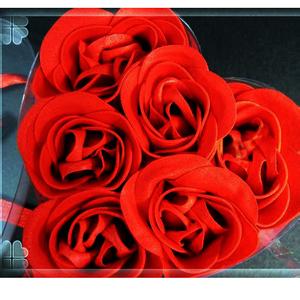 6朵玫瑰花语里的互敬互爱互谅让婚姻的土壤里开出美丽的花儿