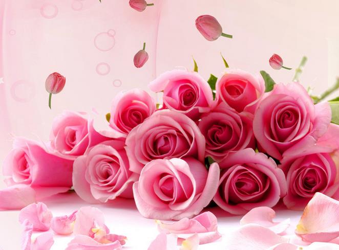 99朵玫瑰花语里属于常人的百年快板属于常人的天长地久
