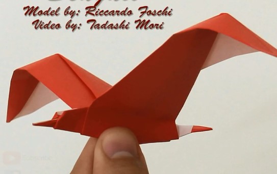 折纸鸟大全之折纸海鸥手工折纸视频教程