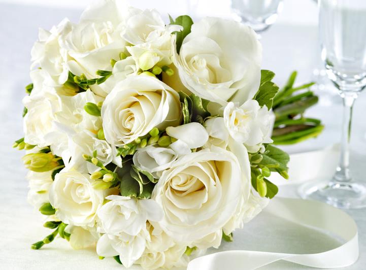 如果21朵白玫瑰花语里的纯洁爱情也有味道的话一