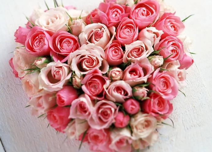 在50朵玫瑰花语开始的光阴也在50朵玫瑰花语里凋零的岁月四