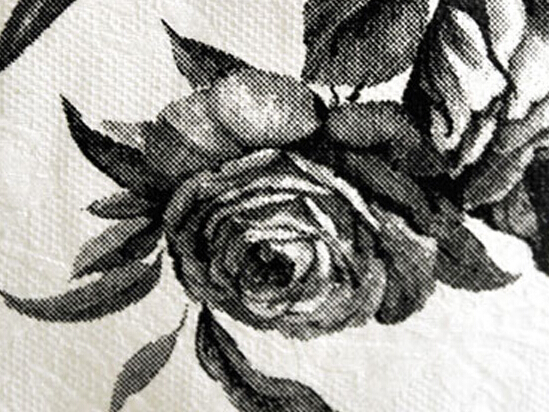 拥有黑玫瑰花语里温柔真心的人可以静然接受人生中的各种考验