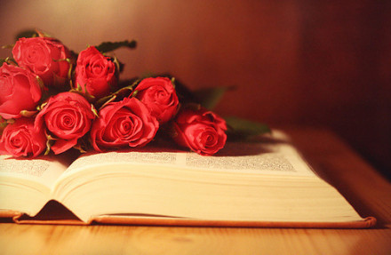 50朵玫瑰花语与江南的美丽邂逅