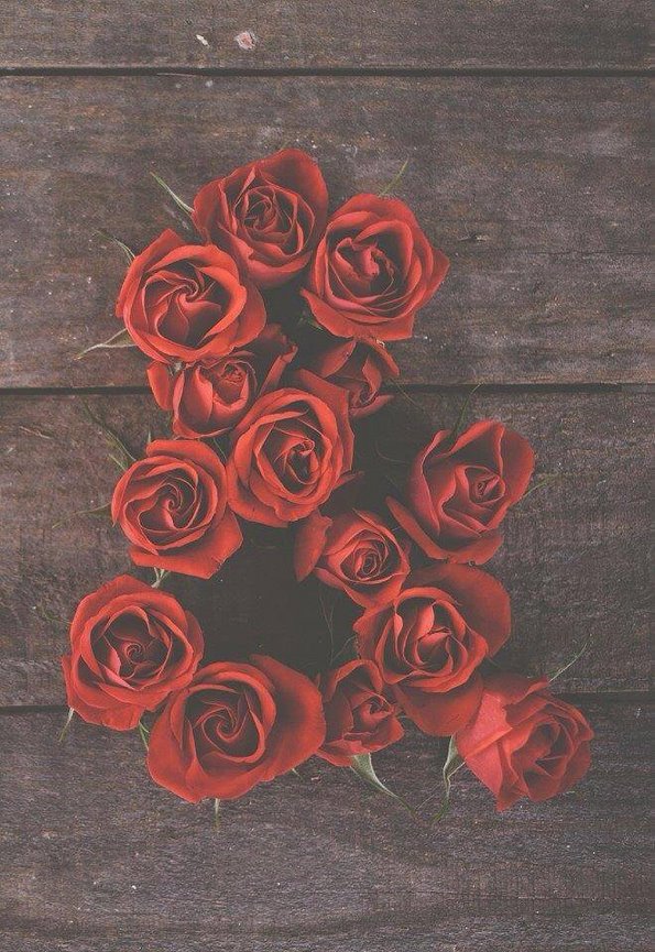 情重之人才最能够承受40朵玫瑰花语里象征的誓死不渝的爱情的责任的重量