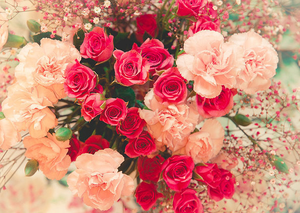 36朵玫瑰花语里的浪漫也可以落花无言人淡如菊