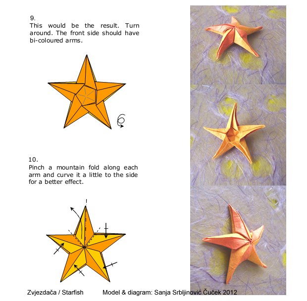 折纸海星的手工折纸教程展示出折纸海星是如何折叠的