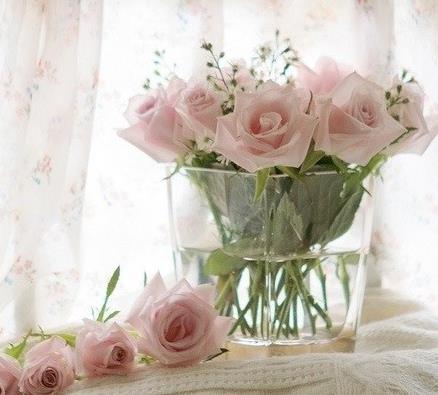 能够得到5朵玫瑰花语所代表的由衷欣赏的人和事一定是美好的