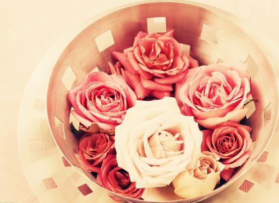 如果你爱我就请接受我独有的36朵玫瑰花语的浪漫
