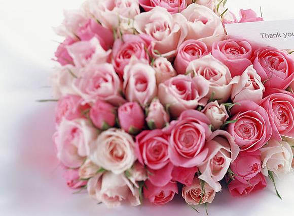 坚持让自己更美好的好习惯让自己生出5朵玫瑰花语里的欣赏之情