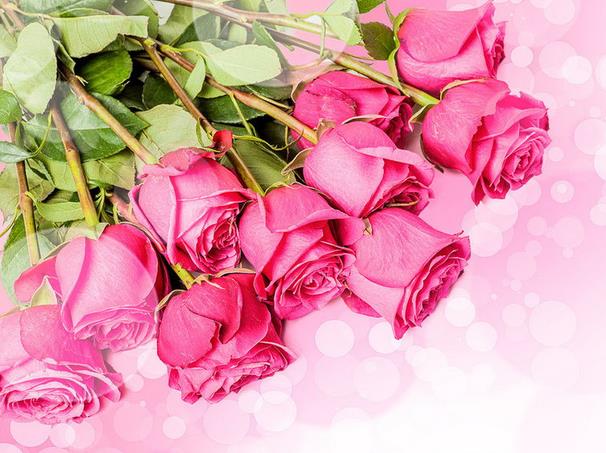 5朵玫瑰花语里对玉的由衷欣赏对玉的倾心爱慕