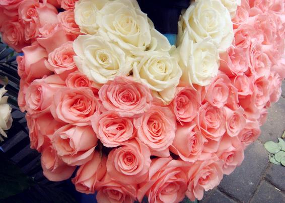 5朵玫瑰花语——欣赏生命中那些安静而充满力量的人和事
