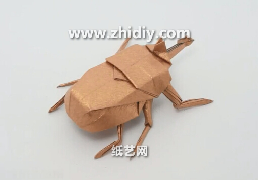 昆虫折纸大全手把手教你如何制作精美的手工折纸甲虫