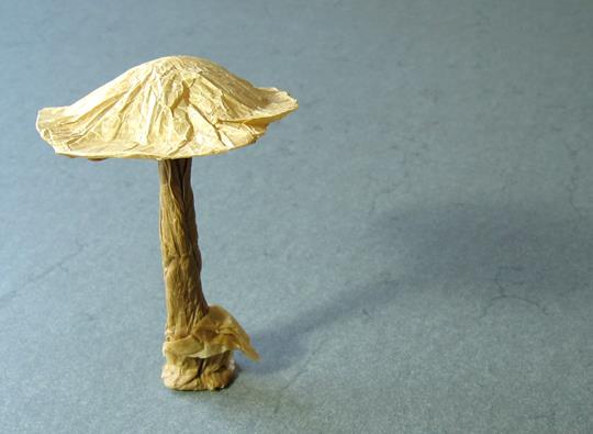 手工折纸蘑菇的手工制作折法视频教程