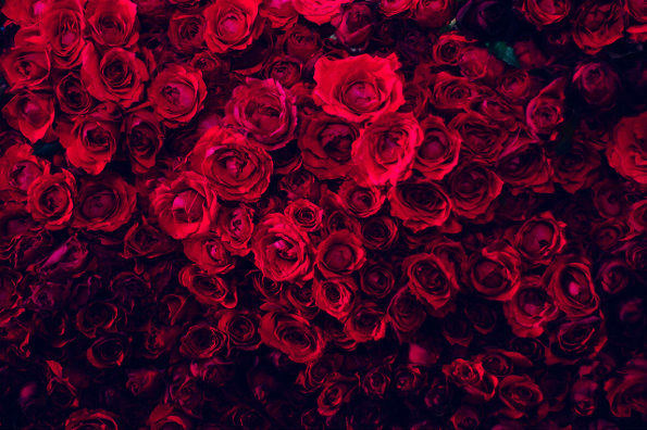 送给一位拥有20朵玫瑰花语里赤诚之心的女子的生日礼物