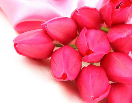 25朵玫瑰花语里祝老师节日愉快幸福康健