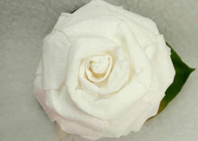 简单纸玫瑰教程教你如何使用卫生纸制作纸玫瑰花