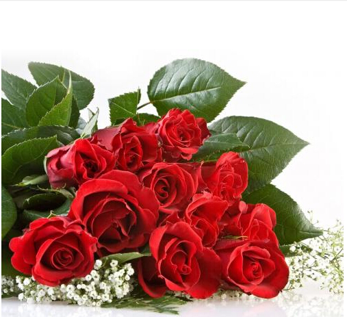 20朵玫瑰花语里的赤诚和隽永夜深人静说给自己听之二