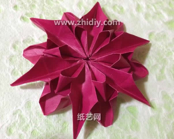手工折纸大丽花的基本折法教程教你制作出漂亮的折纸大丽花