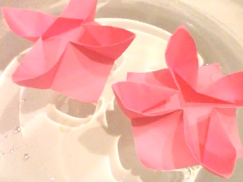 折纸花手工折纸睡莲的DIY折纸制作教程