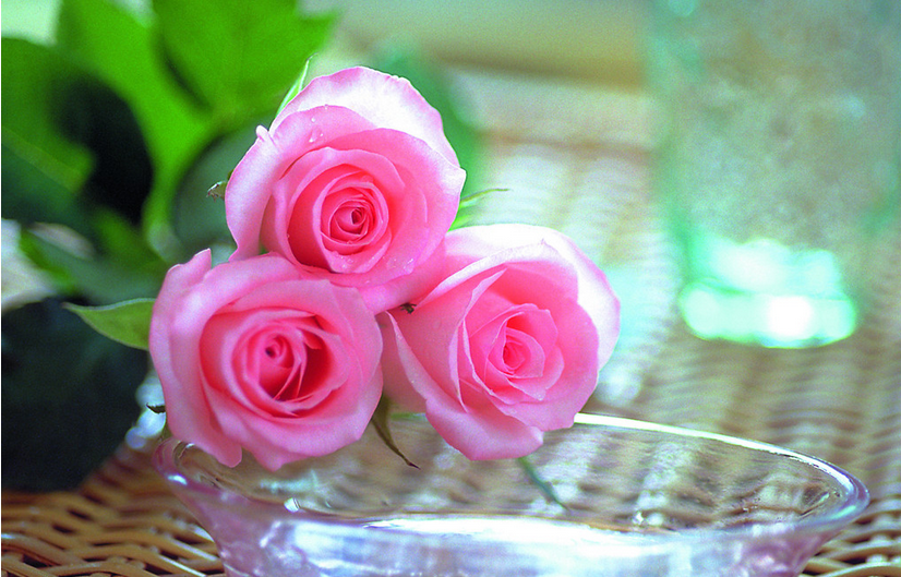 5朵玫瑰花语里的由衷欣赏之情叹李寻欢和关天翔之间的义