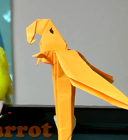 折纸鹦鹉儿童折纸大全视频教程