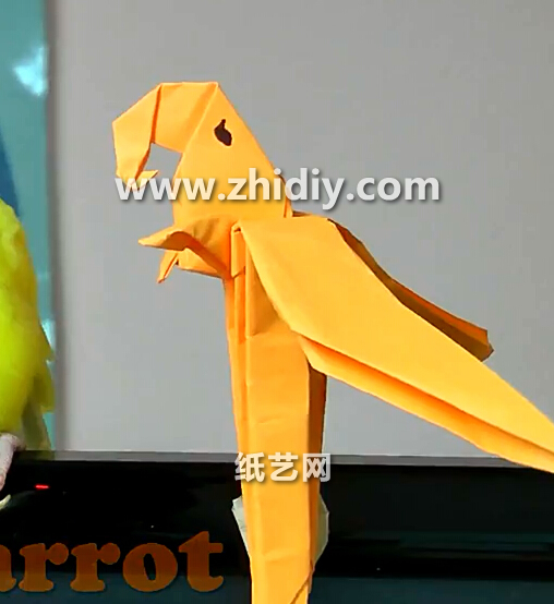 儿童折纸鹦鹉的折法视频教程教你学习儿童折纸鹦鹉应该如何制作