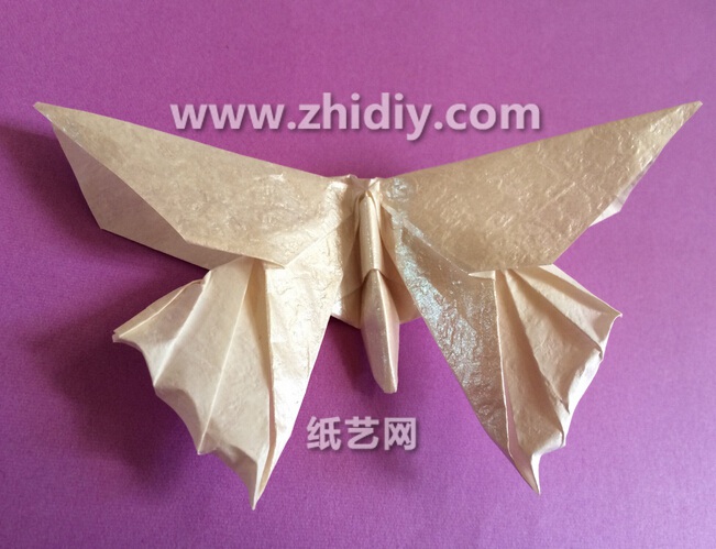 手工折纸蝴蝶的折法教程手把手教你学习如何制作折纸蝴蝶