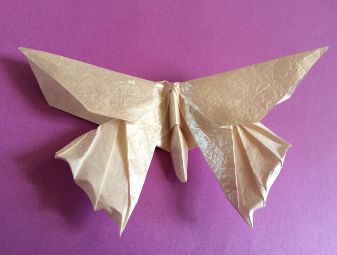折纸蝴蝶折法教程