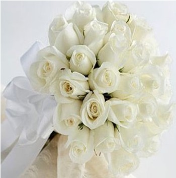 5朵玫瑰花语里的由衷欣赏是情人节里最清丽的祝福