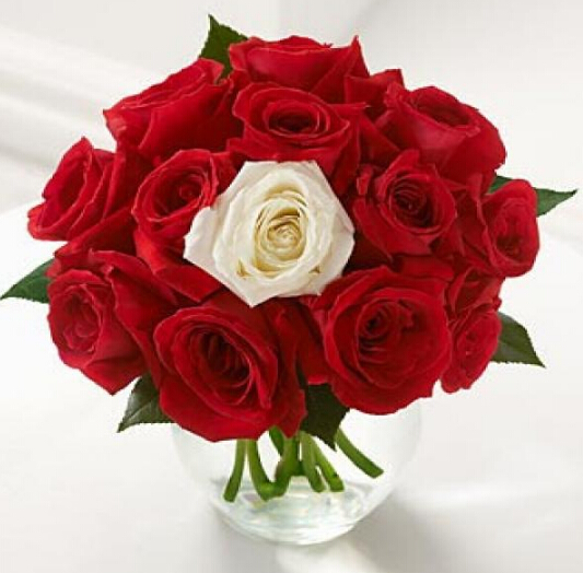 如果那个人从来都不知道11朵玫瑰花语的含义只知道爱你