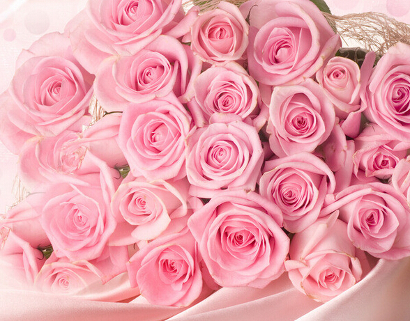 像Jane那样选择离开，把21朵玫瑰花语里的爱情之花永远种在心中