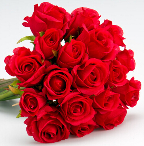 宝玉为林妹妹的20朵玫瑰花语里的一颗赤诚之心