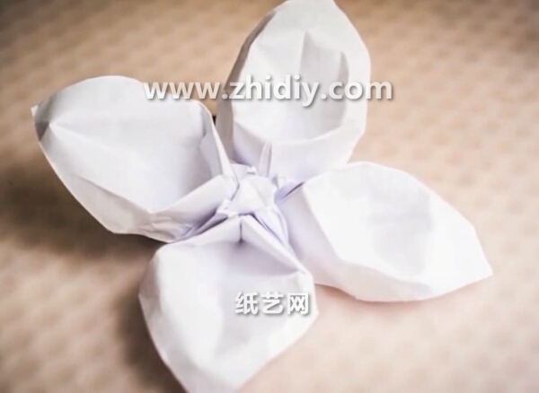 手工折纸花的折法视频教程教你学习如何制作折纸花