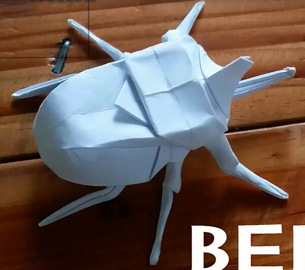 折纸昆虫—折纸甲虫的手工折纸视频教程