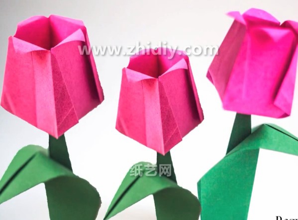 手工折纸花郁金香的折法教程手把手教你学习如何制作折纸花郁金香