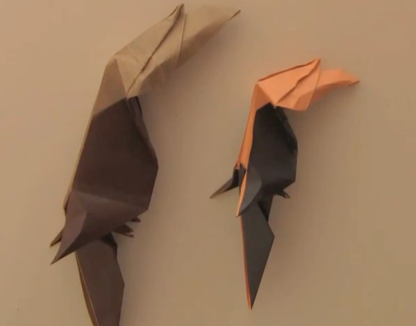 折纸大全—手把手教你学习折纸犀鸟教程