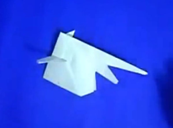 折纸大全—立体折纸仿真鱼的折法视频教程