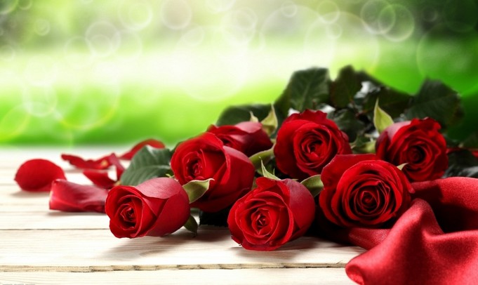 日月清明 人事无恙 一无所求只愿常得25朵玫瑰花语里的幸福