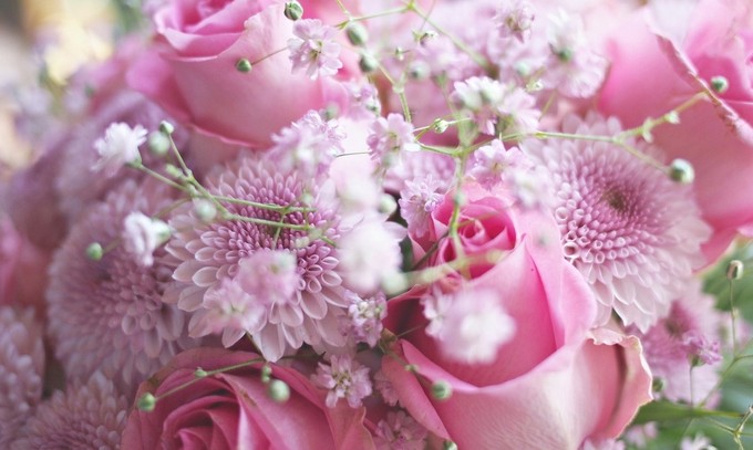 对东风犹记当年 25朵玫瑰花语里要兑现的幸福