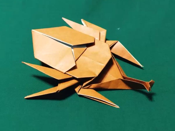 折纸昆虫大全—立体折纸犀牛甲虫的折纸视频教程