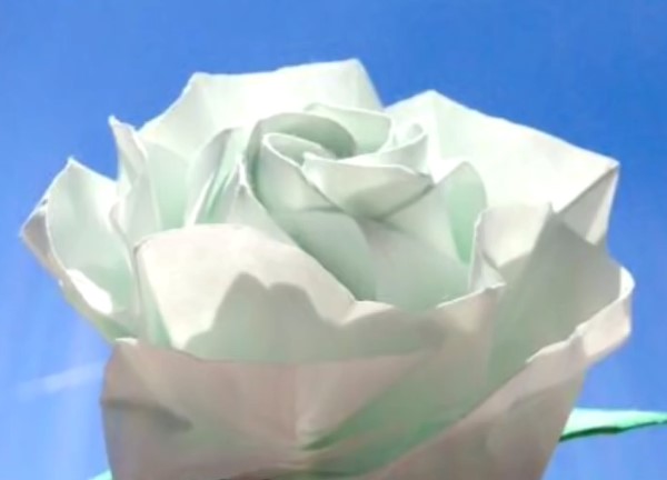 绽放折纸玫瑰花的手工视频教程