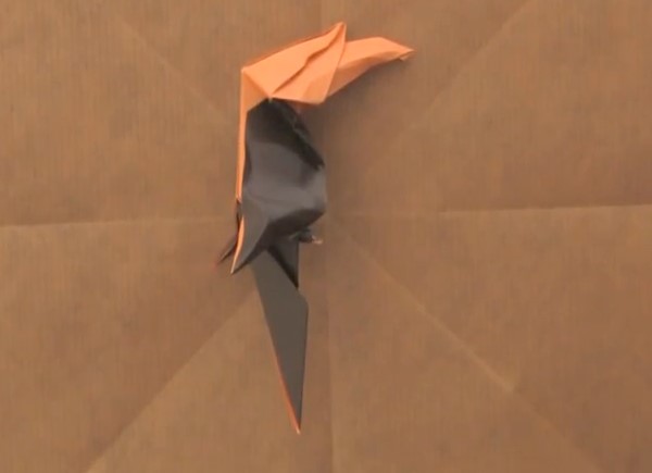 折纸鸟大全—折纸犀鸟的手工折纸视频教程