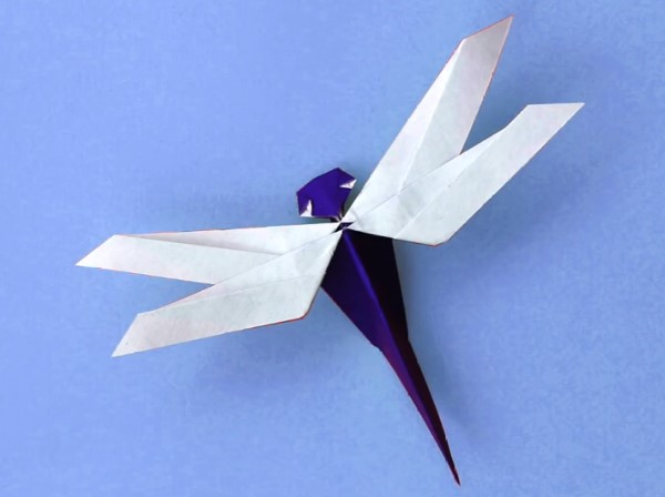 立体折纸蜻蜓手工制作方法教你学习小清新折纸蜻蜓