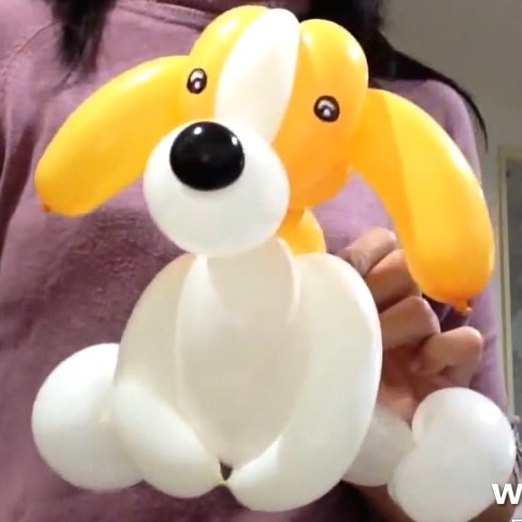 可爱米格鲁猎犬狗狗气球造型手工教程
