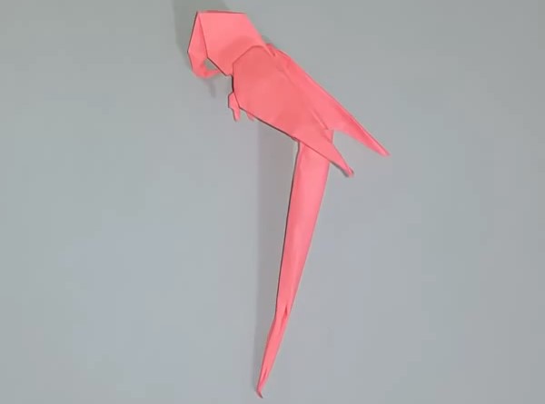立体折纸鹦鹉如何折叠
