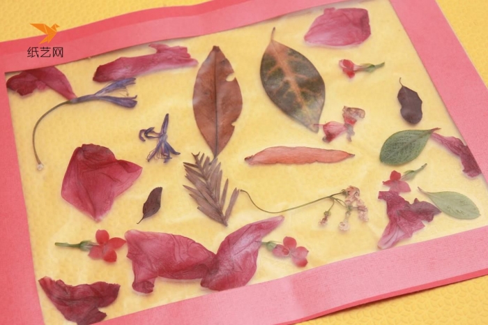 儿童手工小制作之叶子博物馆的手工制作教程