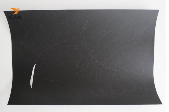 在黑色纸张上面先用铅笔画出叶子的轮廓，然后用刀子在部分线条上面刻穿